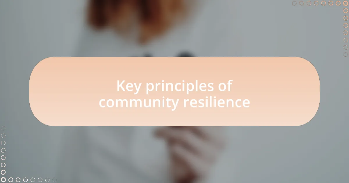 Key principles of community resilience